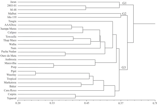 Figure  2. Genetic  diversity  between  26  banana  accessions  from  the  Embrapa  Mandioca  e  Fruticultura Tropical  Germplasm  Bank  integrating  agronomic,  fruit  and  molecular  data  using the Gower (1971) algorithm