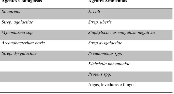 Tabela 1 – Agentes etiológicos contagiosos e ambientais (Adaptado de Blowey e Edmonson, 1999)