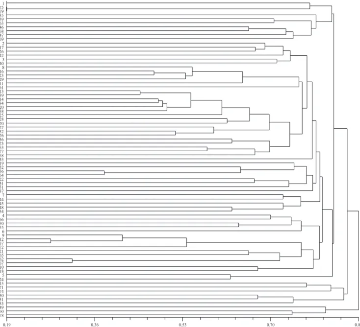 Figure 1. Dendrogram representation of the accession clustering. The distances were calculated using dissimilarity matrices  of Rogers-W and clustered according to UPGMA.