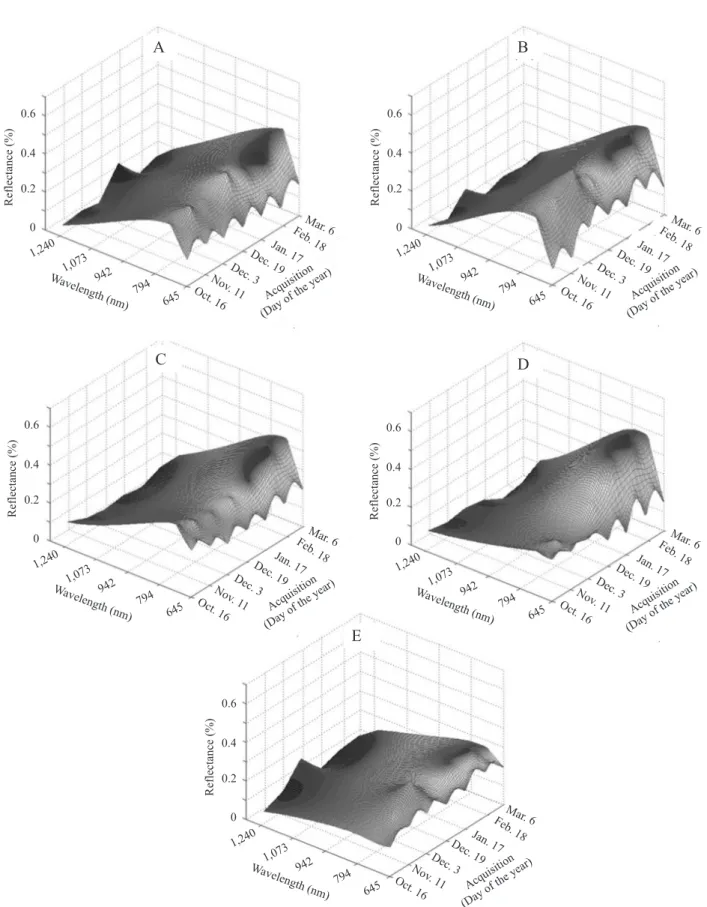 Figure 1. Spectral-temporal response surface (STRS) graphs, plotted using the estimation produced by the executable  procedure to ! t STRS and manipulated in Matlab, of training pixels for the land cover classes: Cerrado (A); Forest (B); 