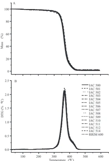 Figure  1.  Thermogravimetry      TG  (A)  and  derivative  thermogravimetry   DTG (B) curves of the rubber from the  IAC 500 series and RRIM 600 Hevea brasiliensis clones in  inert atmosphere