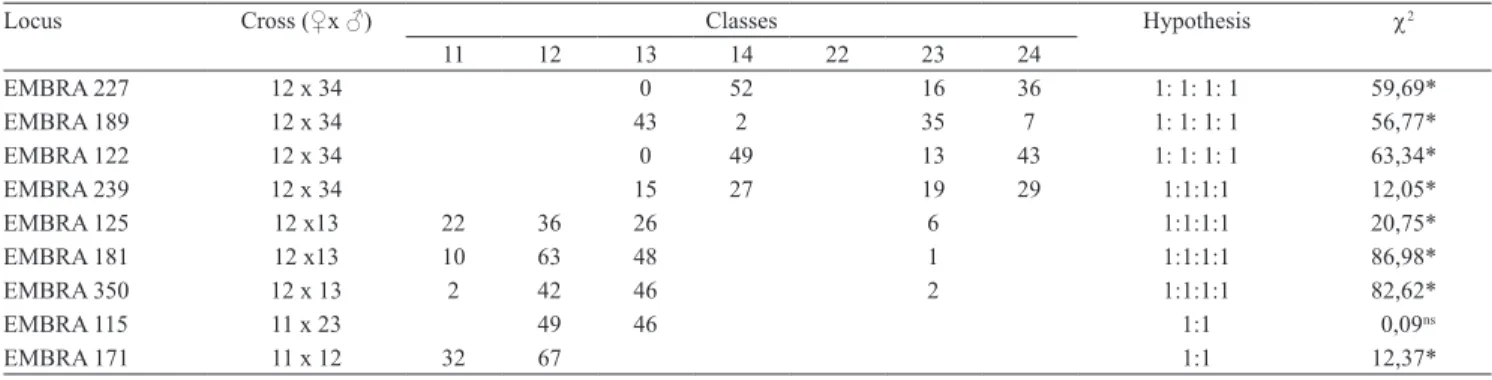 Table 1. Genotypic segregation test of nine microsatellite loci genotyped on the progeny originated from the crossing between  the Eucalyptus  female genitor 7074 (♀) and male genitor 1213 (♂).