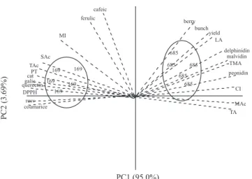 Figure  4.  Principal  components  analysis  (PCA)  of  the  significant  results  from  clones  169  and  685  of  Cabernet  Sauvignon grape compositions at harvest, and in wines made  from  these  clones