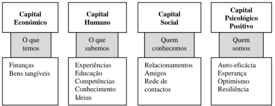 FIGURA 2.6 – Capital económico, humano, social e psicológico. 