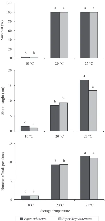 Figure  1.  Survival,  shoot  length  and  number  of  buds  per  shoot  of  Piper  aduncum  and  Piper  hispidinervum,  under  in vitro conservation at low temperatures