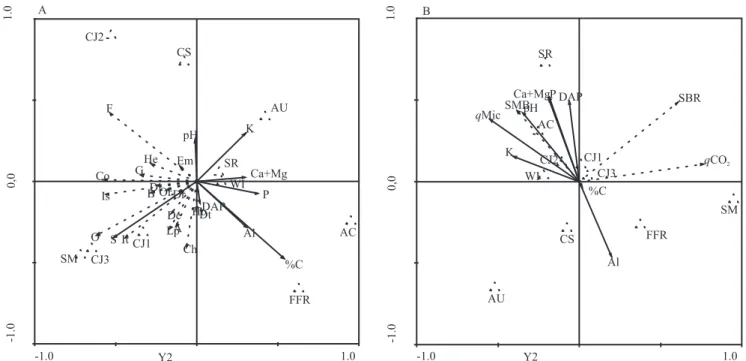 Figure 3. Redundancy analysis of: A, the edaphic macrofauna groups, organic carbon (%C), Al, K, P, Ca+Mg, pH, and DAP; 
