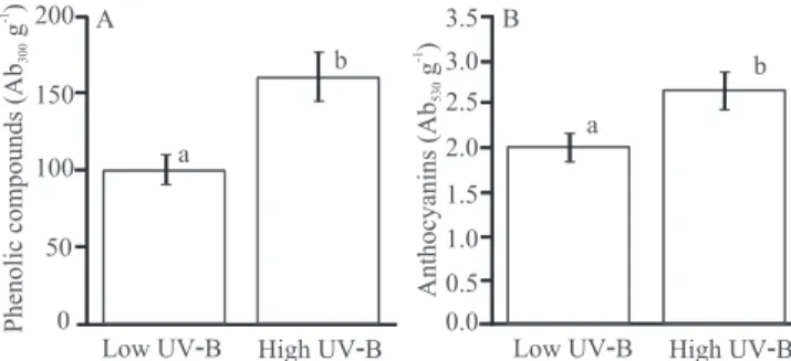 Figure  1.  Accumulation  of  phenolic  compounds  (A)  and  anthocyanins (B) in yellow passion fruit grown under low or  high UV-B radiation for 16 days