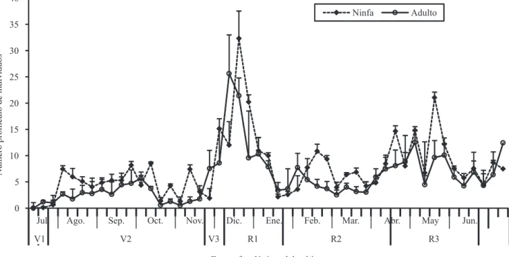 Figura  2.  Fluctuación  poblacional  promedio  mensual  de  ninfas  y  adultos  de  Neohydatothrips  signifer  en  maracuyá,  con  respecto a las etapas de desarrollo del cultivo, en el municipio de Suaza (2009/2010)