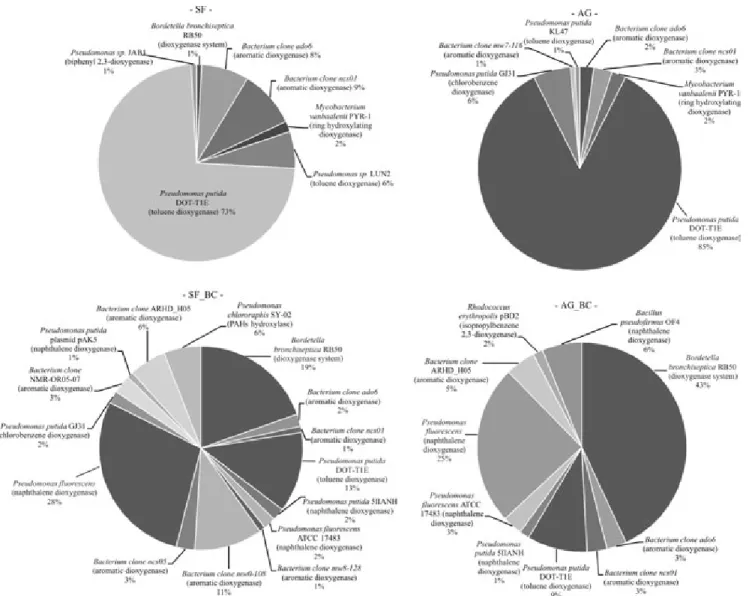 Figure  1.  Classification  charts  of  aromatic  ring‑hydroxylating  dioxygenase  (ARHD)  gene  libraries