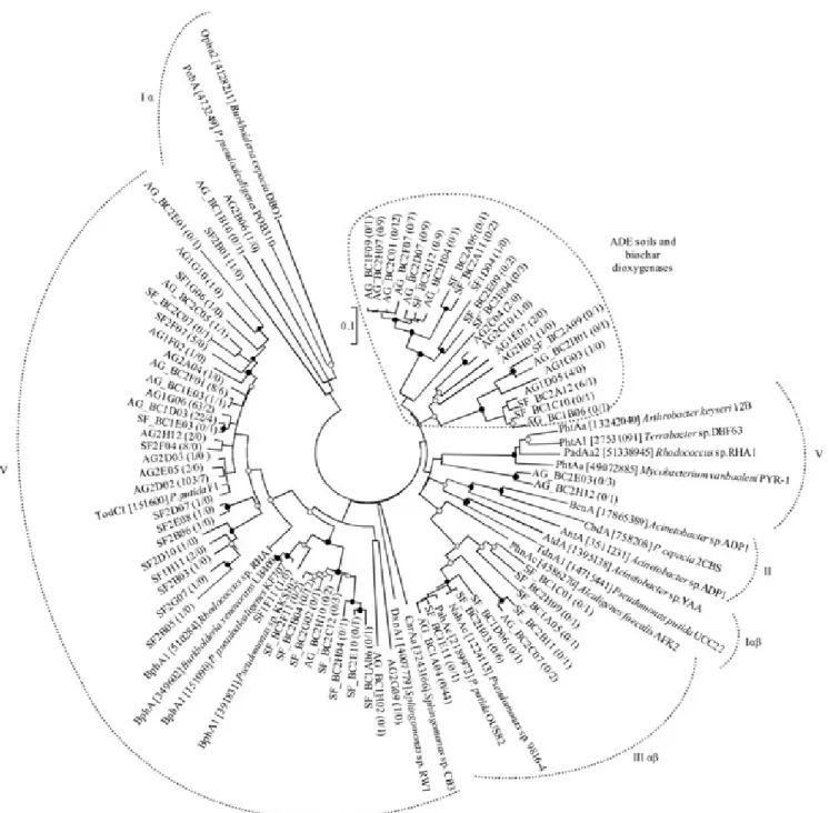 Figure 4. Phylogenetic relationships among aromatic ring‑hydroxylating dioxygenase (ARHD) gene clone sequences and  selected dioxygenases from the GenBank database