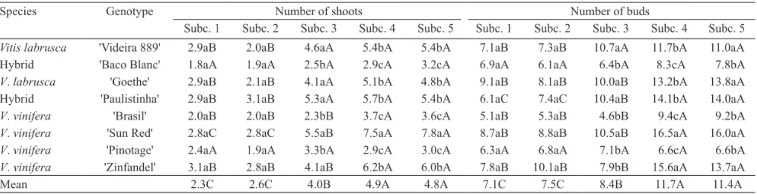 Table 2. Number of shoots and buds per explant of grapevine genotypes after six months of in vitro storage, followed by five  successive subcultures (Subc.) (1) .
