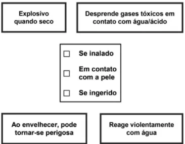 Figura 6. Informações adicionais para a indicação das vias de exposição e  de perigos peculiares no rótulo simplificado, segundo a DGUV 7