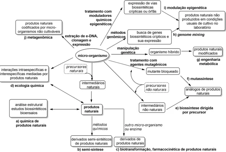 Figura 4. Principais estratégias de trabalho com micro-organismos para o acesso a produtos naturais e seus derivados e análogos, envolvendo as aborda- aborda-gens mais tradicionais (a-c) e as abordaaborda-gens mais modernas (d-j), que permitem o acesso à d