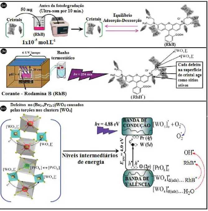 FIGURA 1.6: Proposta do mecanismo de reação fotocatalítica para a degradação  da  Rodamina  B  (RhB)  pelos  cristais  de  (Ba 1-x Pr 2x/3 )WO 4 