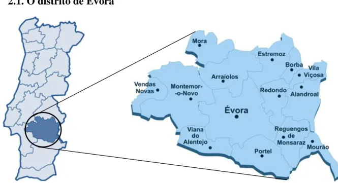 Gráfico 5 – Localização e limites dos concelhos do distrito de Évora 