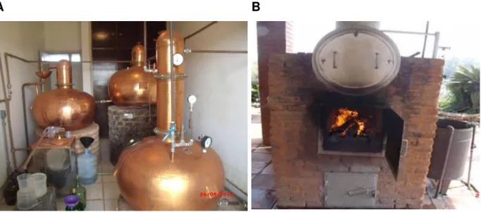 Figura  8.  Destilador  de  cobre  de  três  corpos  utilizado  para  a  destilação  do  mosto  fermentado (A) e caldeira de aquecimento para o destilador (B)