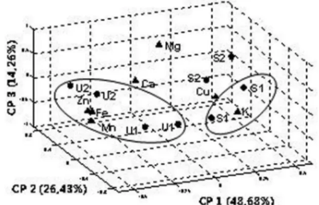 Figura 1. Gráfico bivariado (biplot) tridimensional de CP1 x CP2 x CP3. 