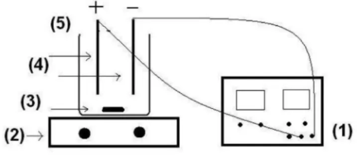 Figura 1. Sistema de eletrocoagulação/flotação: 1) fonte de alimentação; 2)  agitador magnético; 3) barra magnética; 4) eletrodos; 5) reator eletrolítico