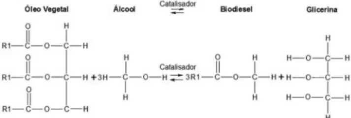 Figura 2. Reação de transesterificação por catálise