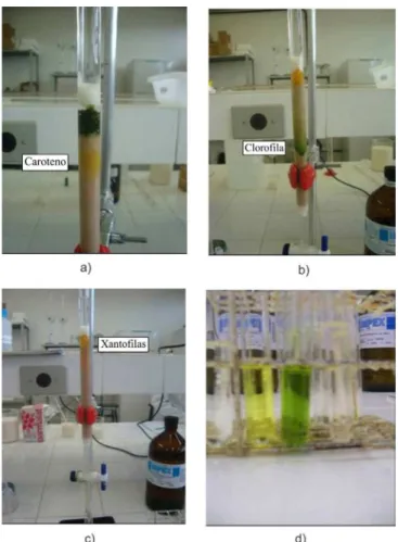 Figura 3. Etapas de isolamento dos pigmentos: a) isolamento do caroteno; b)  isolamento da clorofila; c) isolamento da xantofila; d) pigmentos separados  da coluna