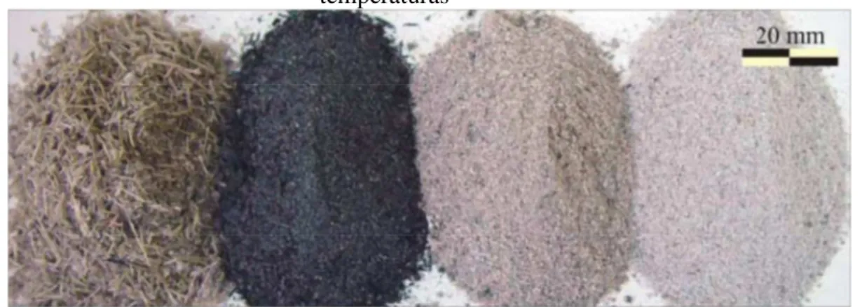 Figura 2 - Amostras de bagaço e cinza do bagaço de cana-de-açúcar produzidas em diferentes  temperaturas 