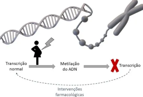Figura 2 – Mecanismos epigenéticos 