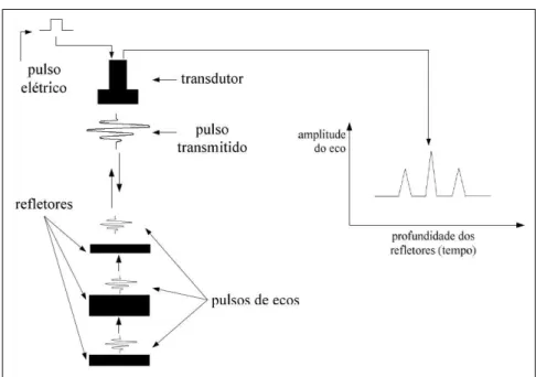 Figura 2.8: Relação entre amplitude e profundidade em imageamento por ultrassom. Fonte: ( LEE , 2010)