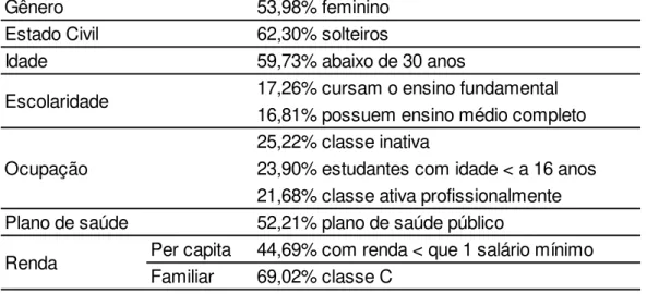Tabela  4  –   Síntese  das  principais  características  da  população  triada  no  período  estudado 