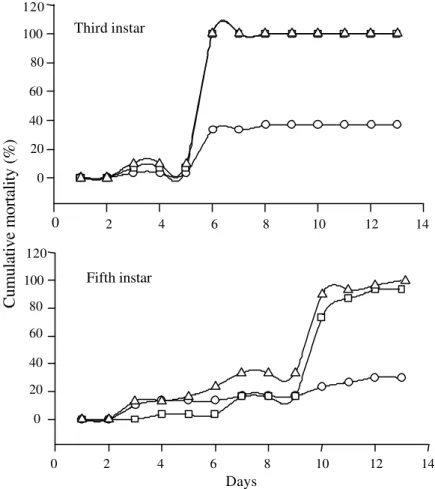 Figure 2. Cumulative mortality of  Rhammatocerus schistocercoides third and fifth instar nymphs treated with the isolate CG 863 (    ) and the isolate CG 423 (   ) of Metarhizium anisopliae var