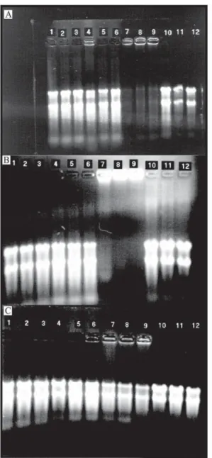 Figure 1. Absorbance profiles of aqueous solutions (0.01 g/L in 0.5M Tris pH 7) of extracted condensed tannins from Inga edulis (   ), Desmodium  ovalifo-lium (    ), grape skin (    ) and tannic acid (    ).