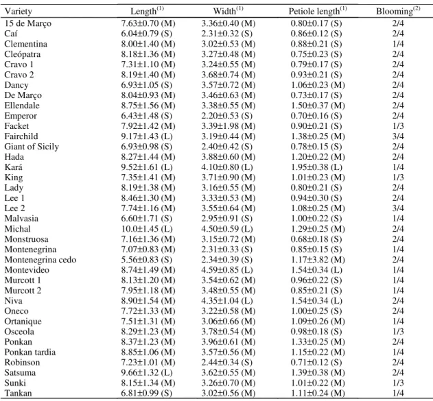 Table 2. Classification of mandarin varieties from the varieties collection of the Estação Experimental Agronômica of the Universidade Federal do Rio Grande do Sul (EEA/UFRGS) considering leaf quantitative characters (mean±standard deviation), according to