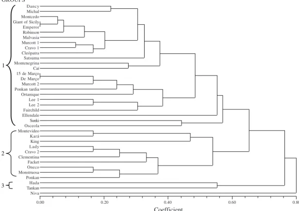 Figure 1. Dendrogram (Manhattan distance) of mandarin cultivars from the varieties collection of the Estação Experimental Agronômica of the Universidade Federal do Rio Grande do Sul (EEA/UFRGS) generated by the qualitative and quantitative morphologic char