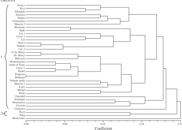 Figure 2. Dendrogram (Manhattan distance) of mandarin cultivars from the varieties collection of the Estação Experimental Agronômica of the Universidade Federal do Rio Grande do Sul (EEA/UFRGS) generated by the microsatellite data.0.00            0.08     