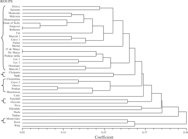 Figure 3. Dendrogram (Manhattan distance) of mandarin cultivars from the varieties collection of the Estação Experimental Agronômica of the Universidade Federal do Rio Grande do Sul (EEA/UFRGS), generated using both the morphologic and microsatellite data.