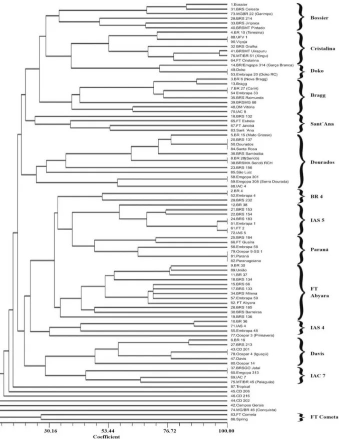 Figure 1. Dendrogram plotted by UPGMA based on coefficients of parentage between 90 cultivars adapted to different Brazilian enviroment.