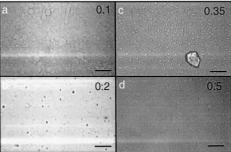 Fig. 2 Light micrographs for samples at constant total surfactant concentration c t ¼ 20 mM and increasing amount of bile salt: