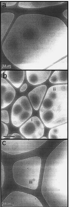 Fig. 3 Cryogenic transmission electron microscopy imaging of the bluish dispersions at total surfactant concentration c t ¼ 20 mM: