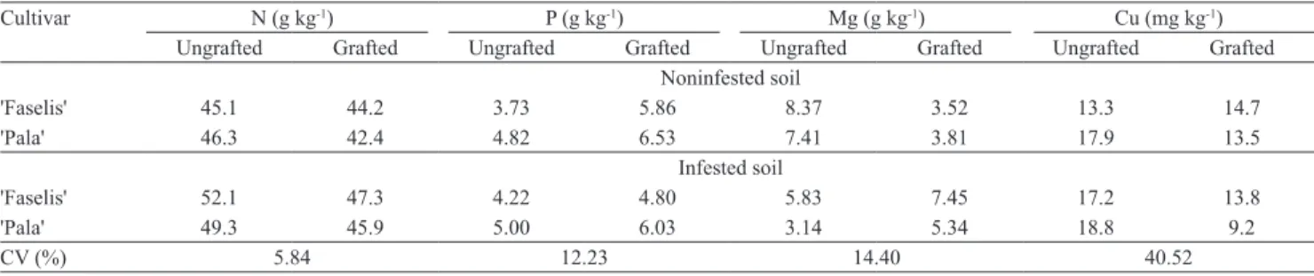 Table 1. Leaf macro- and micronutrient average concentrations of the two cropping years 'Faselis' and 'Pala' of eggplant cultivars  grown with or without rootstocks, in noninfested or infested (Vericillium dahliae and Meloidogyne incognita) soil.