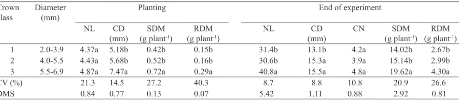 Table 1. Number of leaves (NL), crown diameter (CD), shoot dry mass (SDM) and root dry mass (RDM) of strawberry  transplants at planting and number of leaves (NL), crown diameter (CD), number of crowns (NC), shoot dry mass (SDM) and  root dry mass (RDM) of