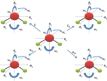 Figura 1. Aplicação das operações de simetria sobre os vetores translacionais  em uma molécula com simetria C 2v