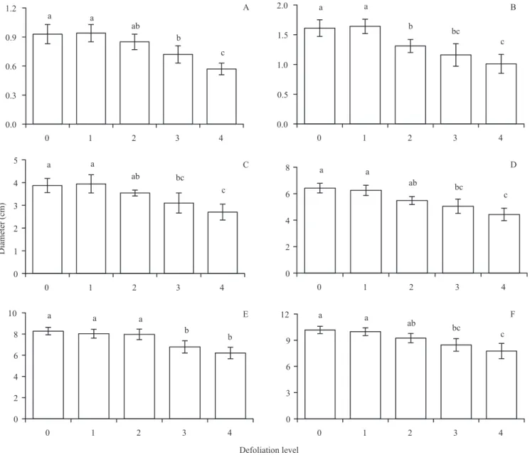 Figure  3.  Diameter  of Pinus  taeda plants artificially defoliated for simulation of  Acromyrmex  crassispinus  attack: A,  six  months; B, 12; C, 18; D, 24; E, 30; and F, 36 months after planting