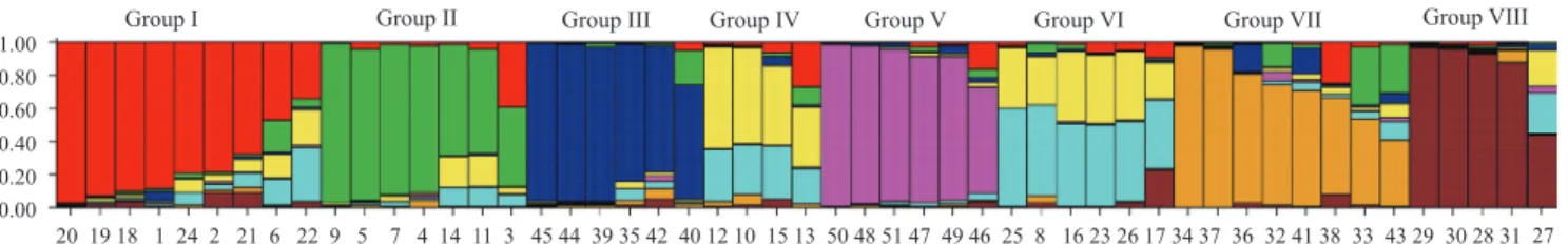 Figure 2.  Distribution of the 51 rubber tree clones in groups according to Structure analysis (k=8), based on the 30 EST‑