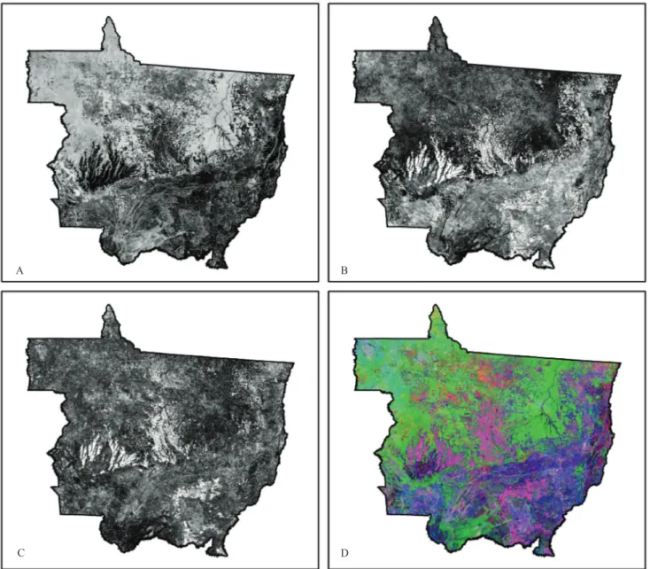 Figure 2. Mean annual normalized difference vegetation index (NDVI) for the state of Mato Grosso, Brazil, in 2009 (A); 