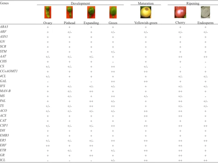 Table 2. Fruit stages, phenological phases and gene transcripts accumulation pattern, according to semi‑quantitative RT‑PCR  analysis, performed in fruit collected during the 2005/2006 season: (–) no transcripts, (+/‑) low, (+) regular and (++) high  accum