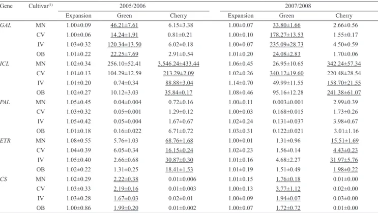 Table  3.  Relative quantification of gene transcripts in fruit of Arabica cultivars collected at different phenological stages  during, 2005/2006 and 2007/2008 seasons