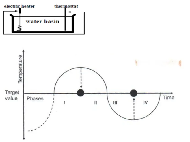 Figure 5- Regulation as a sinusoidal curve 