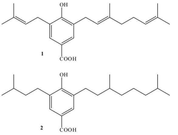 Figura 3. Efeito do composto 2 sobre o fluxo de elétrons (basal, fosforilante e  desacoplado) de H 2 O – MV em cloroplastos isolados das folhas de espinafre