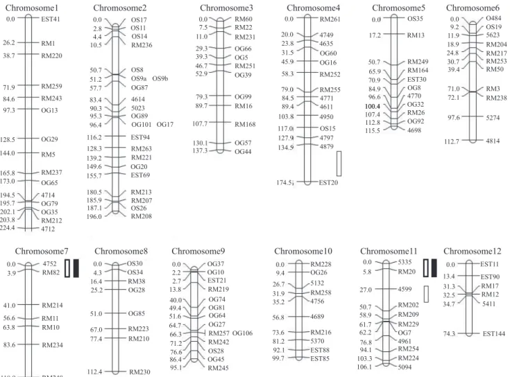 Figure 1. Genetic linkage map obtained from a BC 2 F 2  population derived from the cross Oryza sativa Cica‑8 x O