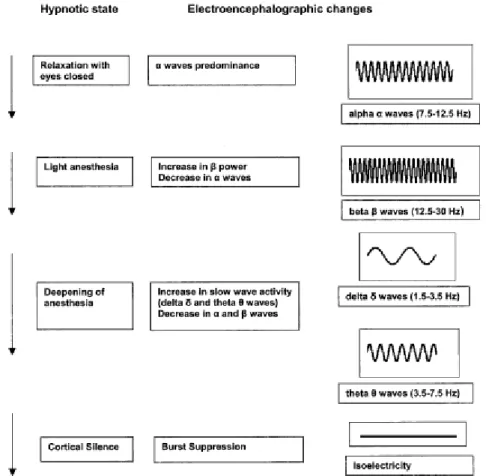 Figure 3 - Electroencephalographic changes with deepening of anaesthesia (Dahaba 2005) 