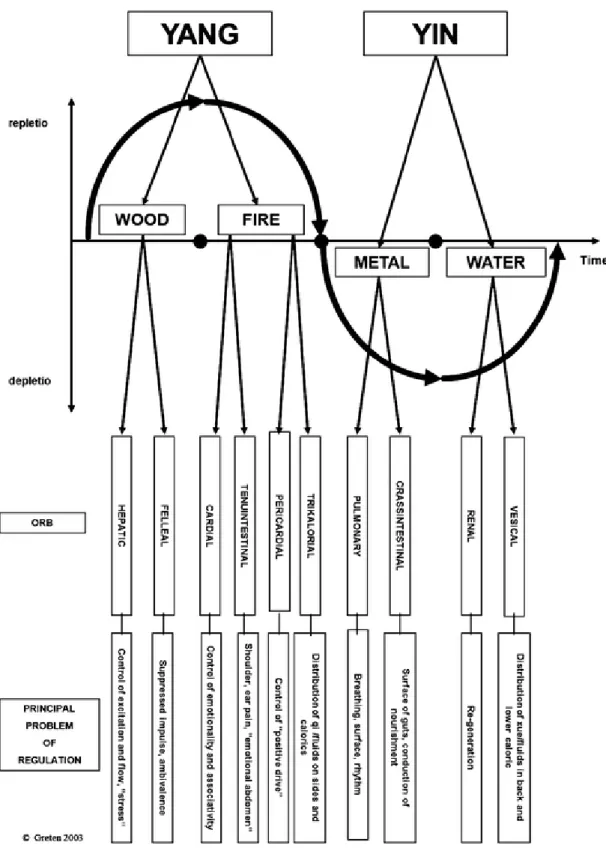 Figure 7 - Integrate model of the Phases and Orbs and Principal problem of Regulation (Greten 2013) 